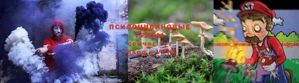 молекула духа Алексин