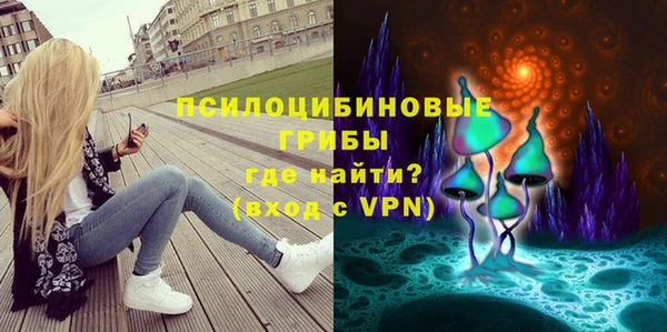 соль курить ск Алзамай