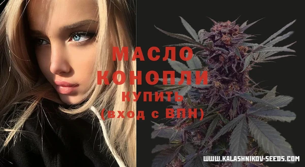 молекула духа Алексин
