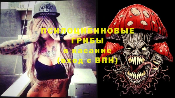 гашишное масло Заводоуковск
